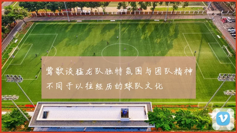 莺歌谈猛龙队独特氛围与团队精神不同于以往经历的球队文化