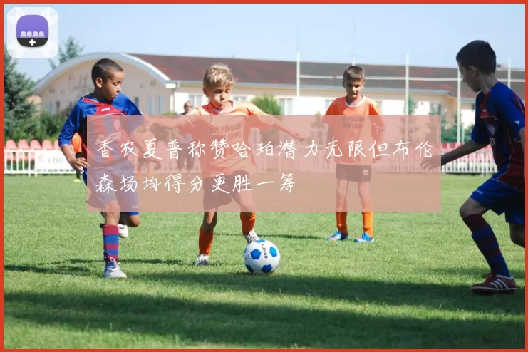 香农夏普称赞哈珀潜力无限但布伦森场均得分更胜一筹