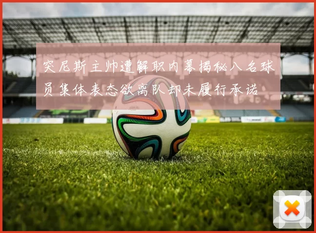 突尼斯主帅遭解职内幕揭秘八名球员集体表态欲离队却未履行承诺